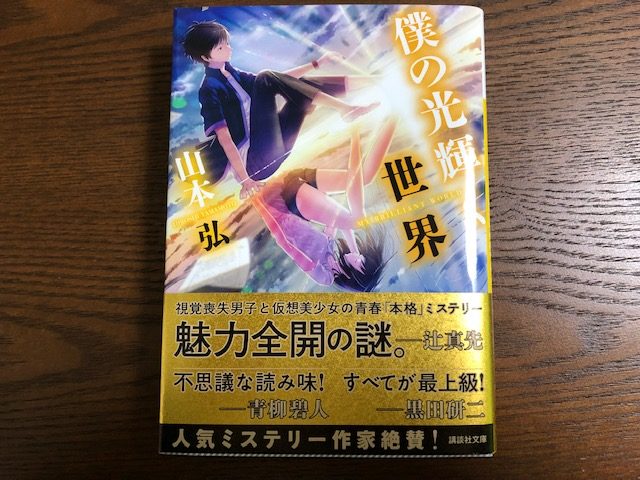 視覚喪失男子が挑む新感覚ミステリ 僕の光輝く世界 感想 転ばぬ先の本